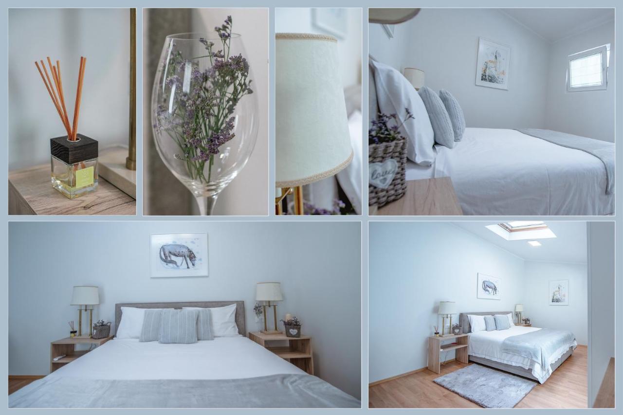 Apartment Ana - Karst Cycling Paradise Dutovlje Ngoại thất bức ảnh